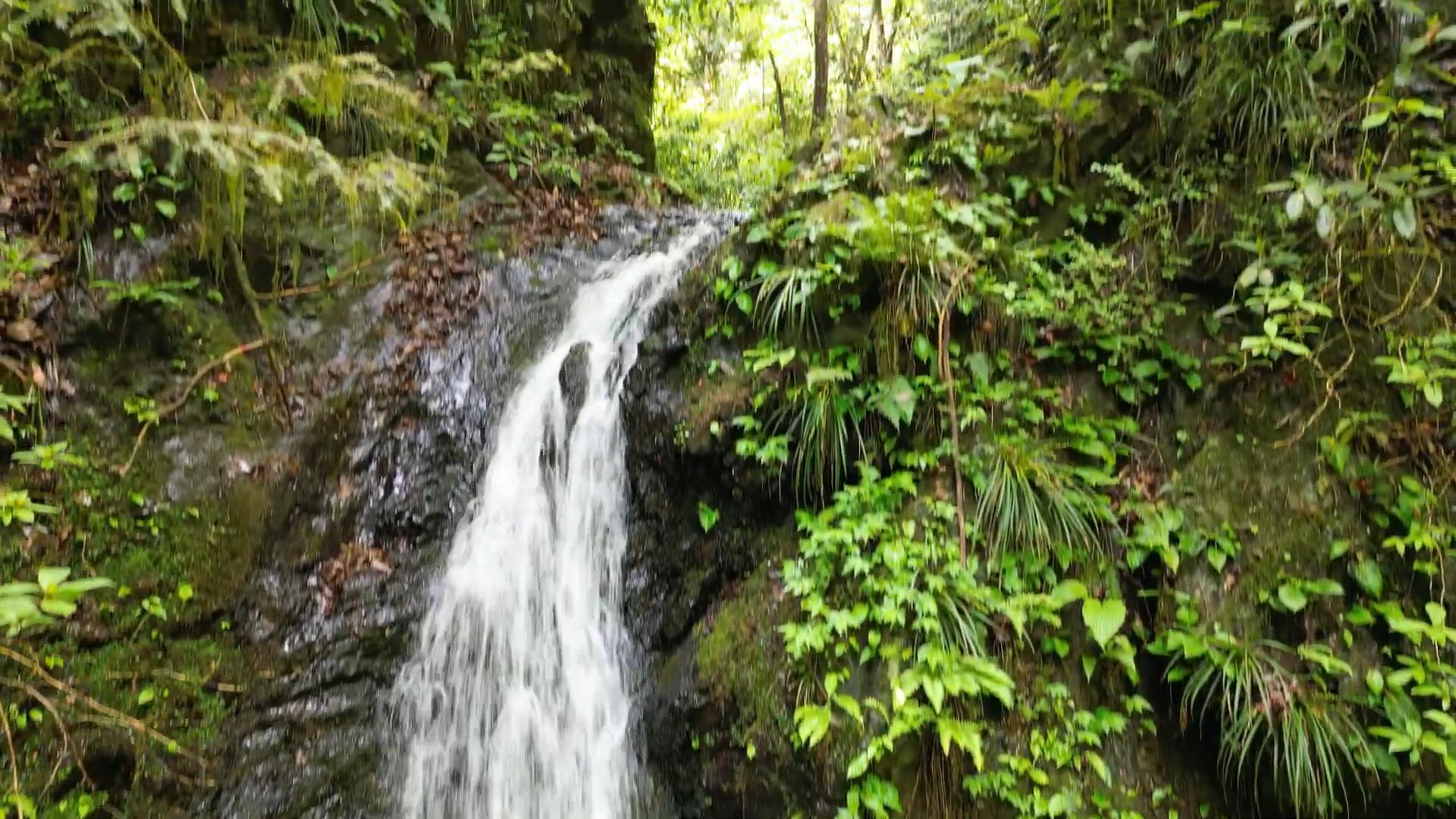 滝行の場【金剛の滝】東京都八王子市～Japanese waterfalls where takigyo is practiced