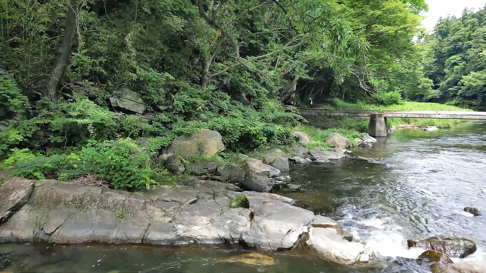 ドローン映像【嵐山渓谷(岩畳)】歌人「与謝野晶子」も訪れた渓谷～Drone footage of beautiful valleys in Japan