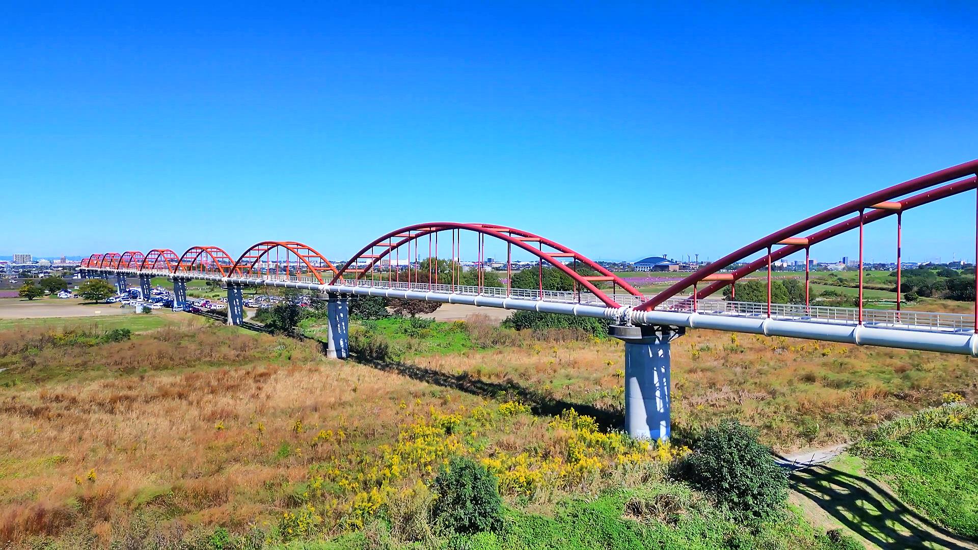 熊谷市～鴻巣市を跨る水の橋「荒川水管橋」とコスモス畑　Japanese long water pipe bridge and cosmos field