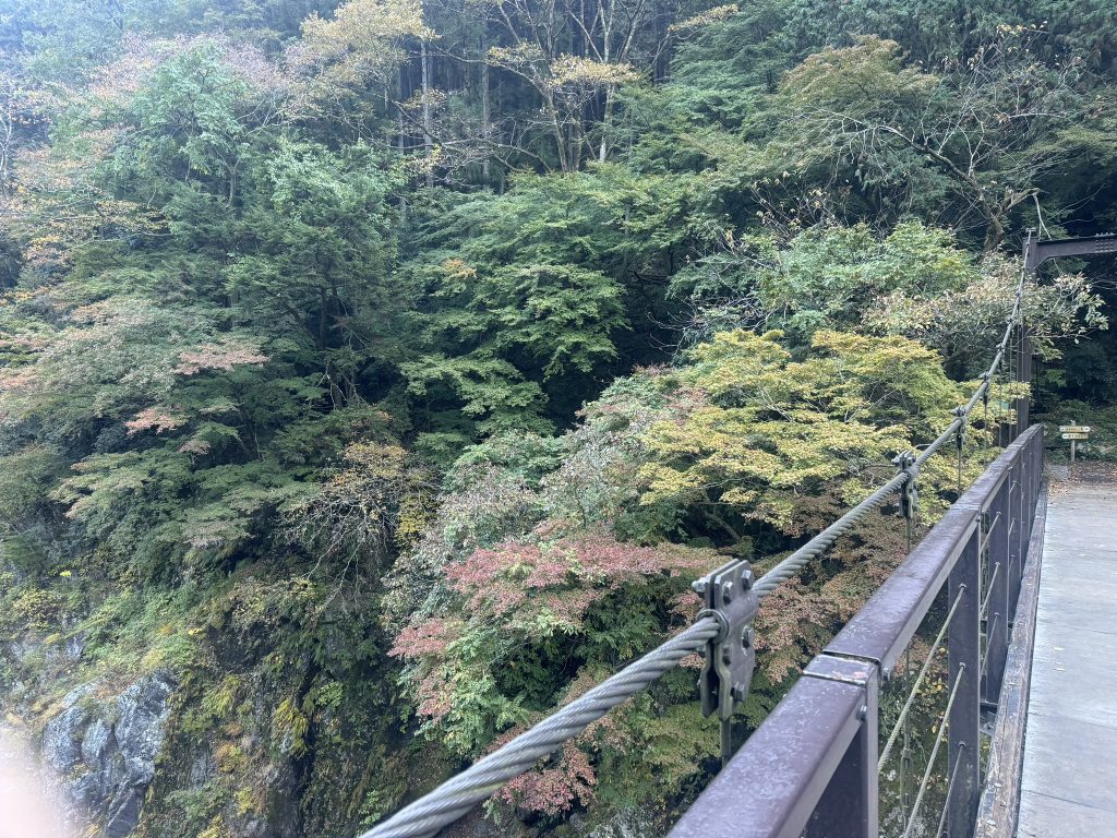 鳩ノ巣小橋